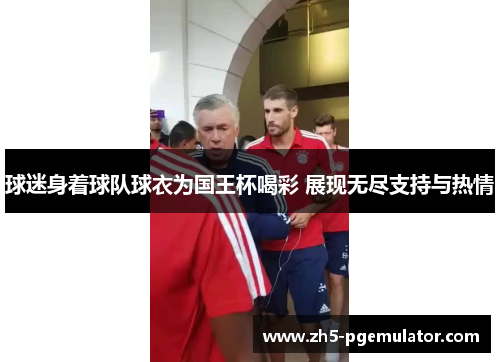 球迷身着球队球衣为国王杯喝彩 展现无尽支持与热情